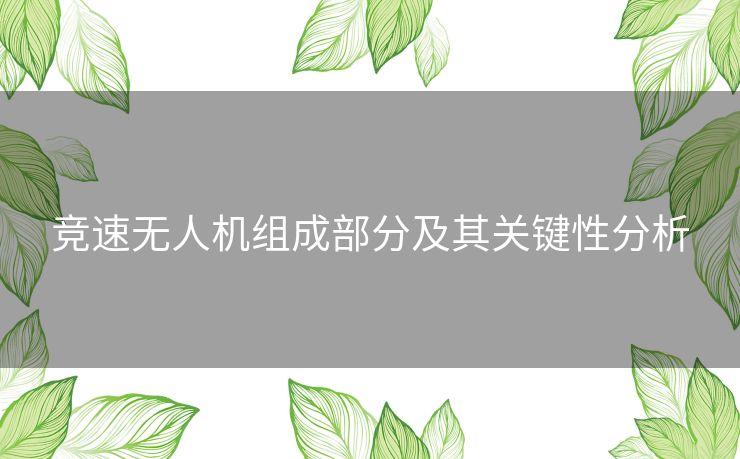 竞速无人机组成部分及其关键性分析